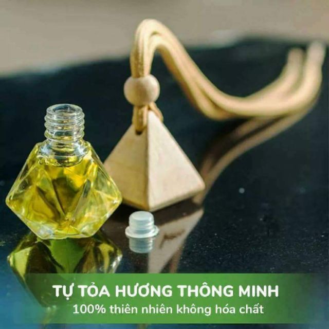 Vỏ - lọ - chai tinh dầu treo toả hương thông minh