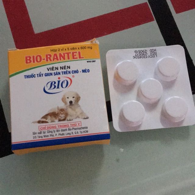 Combo 10 viên Bio Rantel chuyên dùng cho chó mèo - Hộp 10 viên