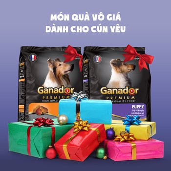 Thức ăn cho chó Ganador Adult - Vị Cừu Gạo