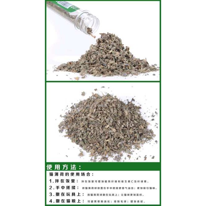 Cỏ bạc hà mèo catnip 10gr