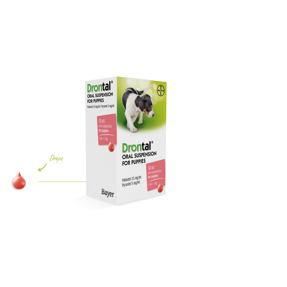 [Đại lý thú y PetZoneHCM] Drontal Puppies dạng siro