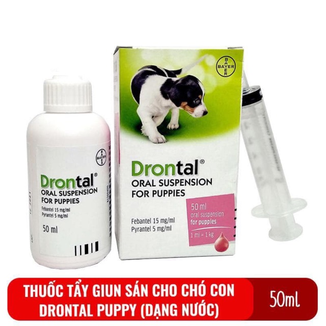 [Đại lý thú y PetZoneHCM] Drontal Puppies dạng siro