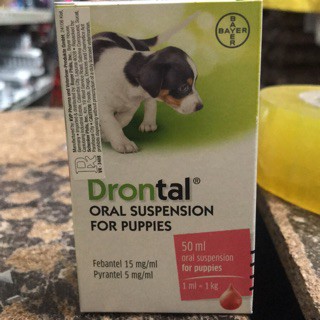 [Đại lý thú y PetZoneHCM] Drontal Puppies dạng siro