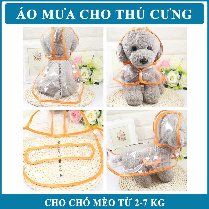 PetZoneHCM - Áo mưa cho chó mèo trong suốt - size L