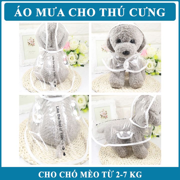 PetZoneHCM - Áo mưa cho chó mèo trong suốt - size L