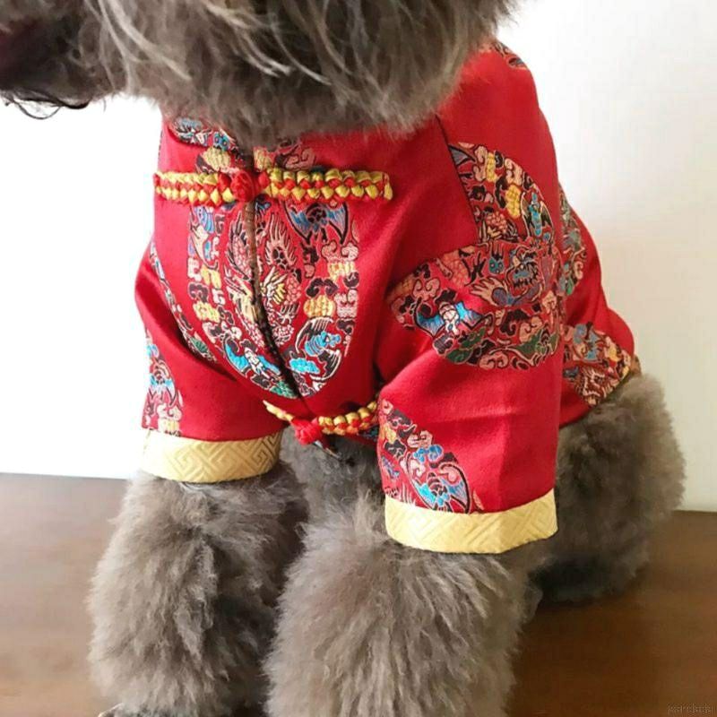 Váy bông đồng tiền cho thú cưng, chó mèo Puppy Pet Shop