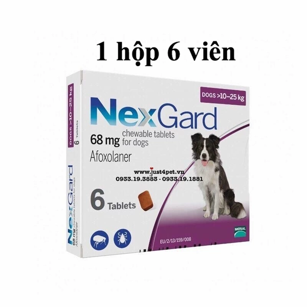 NEXGARD Phòng và trị ve , ghẻ, bò chét, demodex trên chó