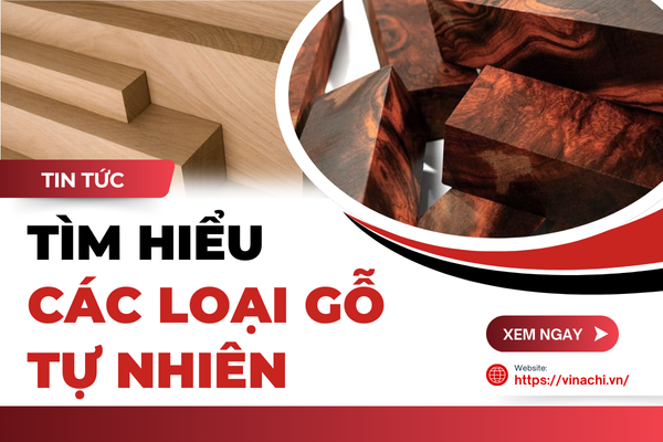 10+ Các loại gỗ tự nhiên phổ biến hiện nay