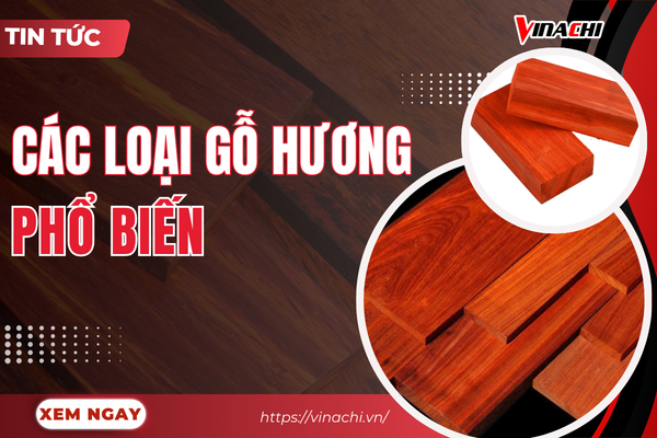Điểm danh các loại gỗ hương phổ biến tại Việt Nam