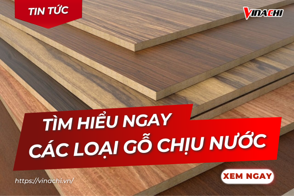 Khám phá ngay các loại gỗ chịu nước phổ biến, chống mối mọt