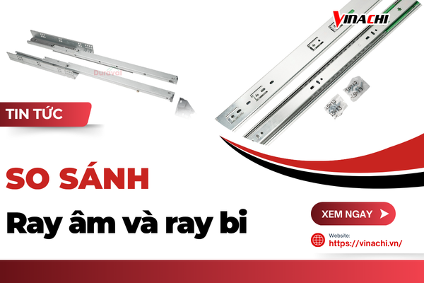 Ray Âm Và Ray Bi Khác Nhau Thế Nào? Nên Chọn Loại Nào?