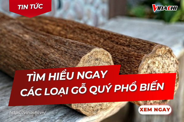 TOP 10 tên các loại gỗ quý được ứng dụng tại Việt Nam