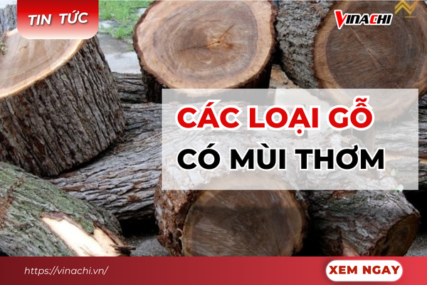 Tổng hợp các loại gỗ có mùi thơm đặc trưng tại Việt Nam