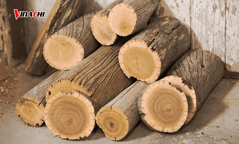 Gỗ tuyết tùng vàng sở hữu màu sắc tự nhiên, đẹp mắt