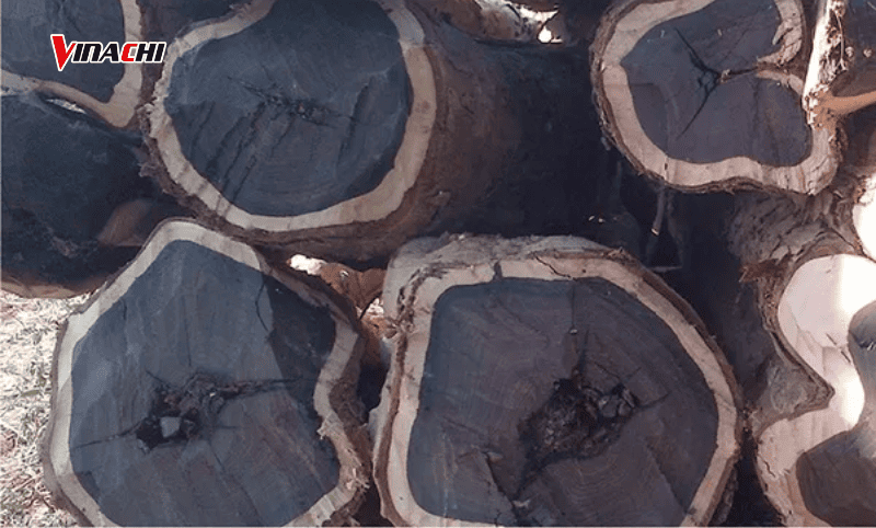 Gỗ mun thường được sử dụng để chế tác đồ thủ công mỹ nghệ