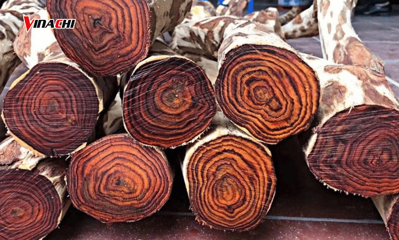 Gỗ sưa sở hữu độ cứng cao, màu sắc ấm áp, thích hợp sử dụng làm đồ phong thuỷ, mỹ nghệ
