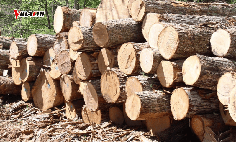 Gỗ thông sở hữu đặc tính mềm, nhẹ, dễ chế tác, thích hợp sử dụng để điêu khắc