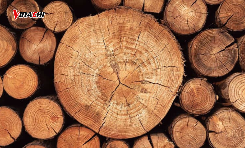 Các loại gỗ quý có kết cấu chắc chắn