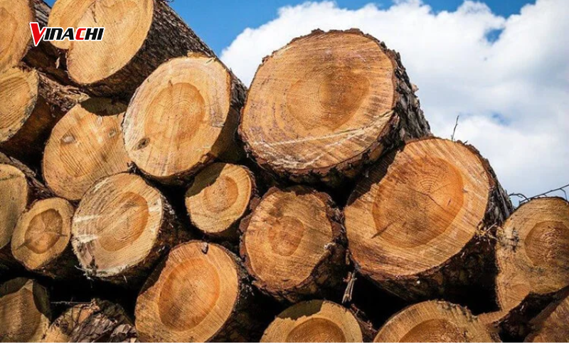 Độ bền cao, cứng chắc