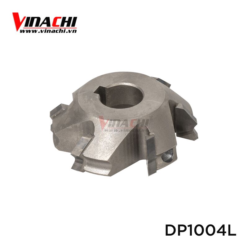 dp1004l.jpg