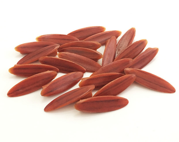 Thumbnail Vinachi (74).png