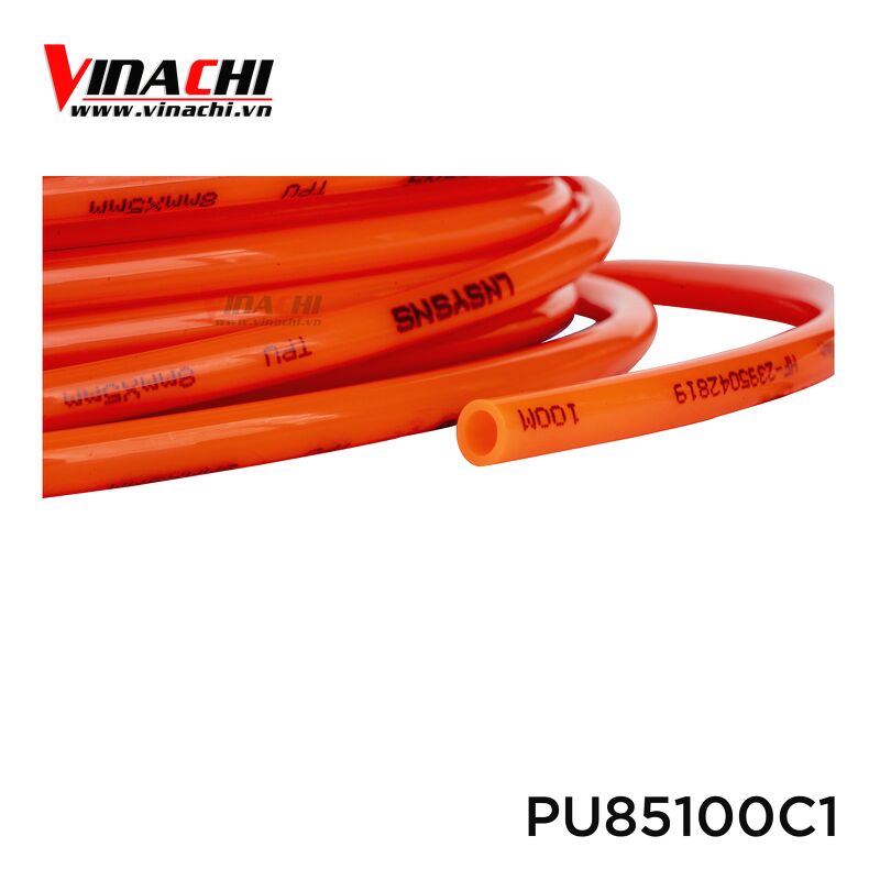 Thumbnail Vinachi (6).png