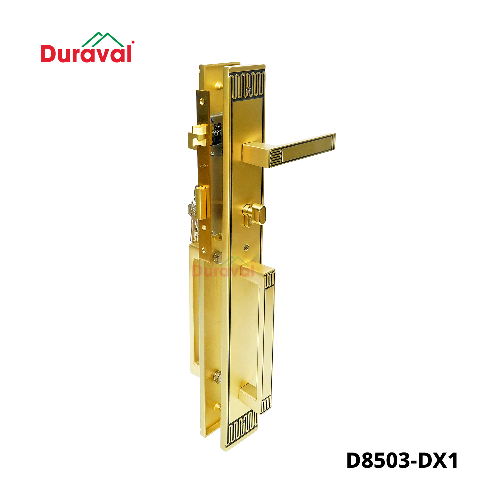 Đồng rêu - D8503-DX1