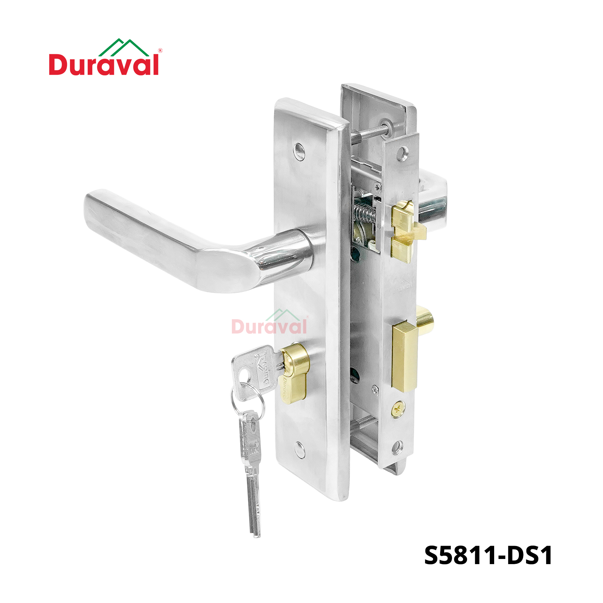 S5811-DS1