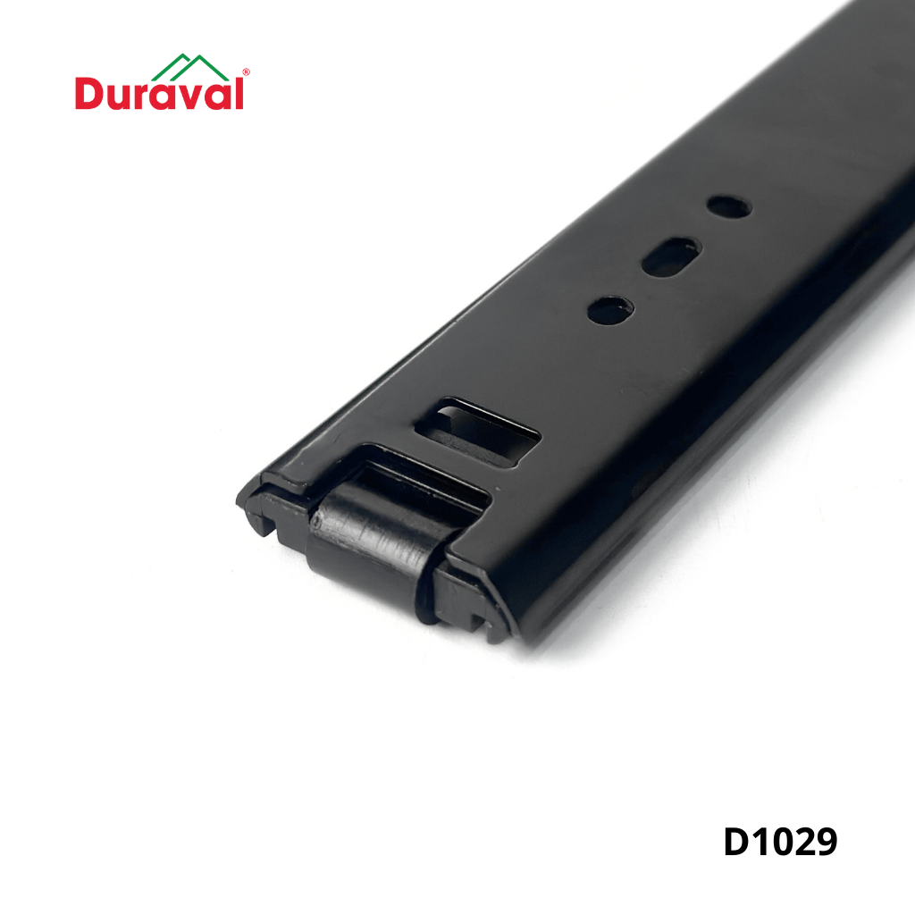 D1029 (2).png
