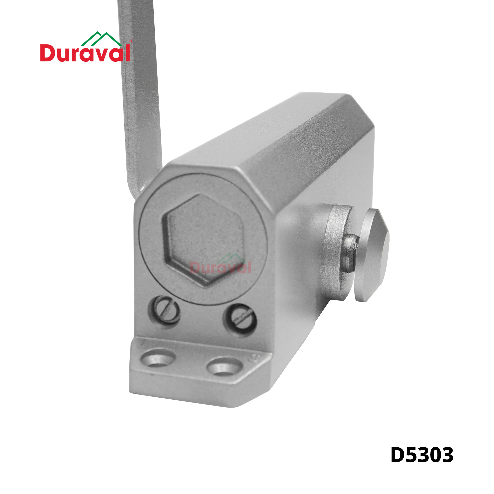 D5303 - Tay co thuỷ lực đóng cửa cửa tự động chống cháy Duraval.jpg
