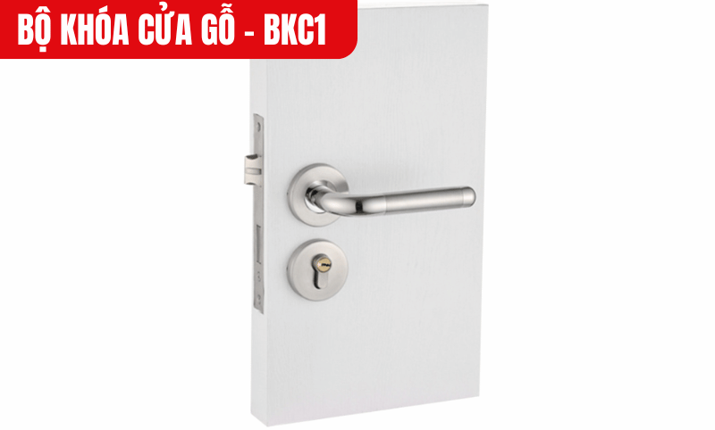 Màu bạc sáng bóng cùng đường nét tinh tế giúp khóa trở thành điểm nhấn cho cánh cửa