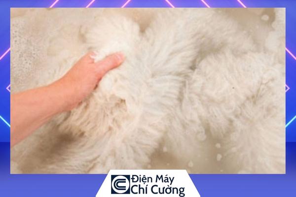 Gỡ rối các cục lông bị vón