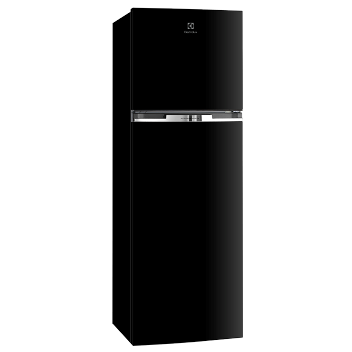 Tủ Lạnh Electrolux ETB3700J-H