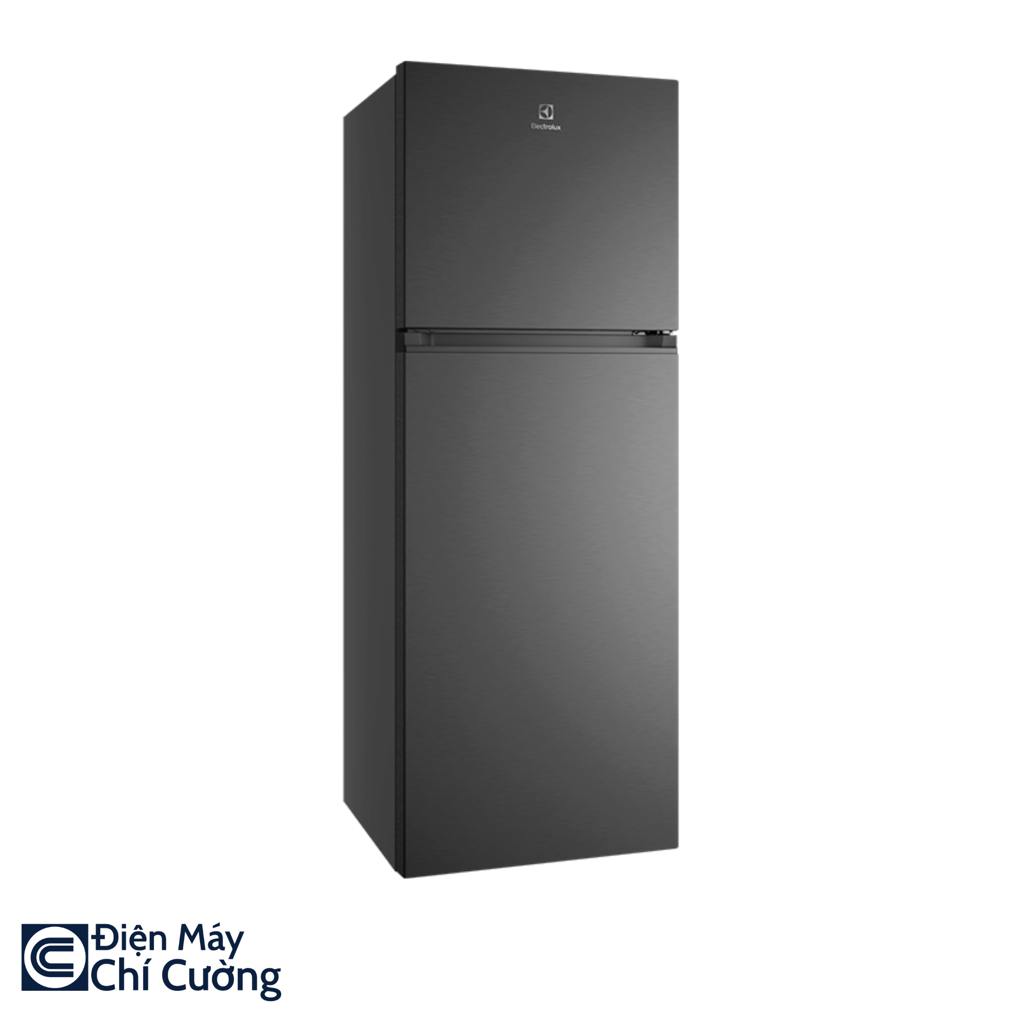 Tủ Lạnh Electrolux ETM3100L-B