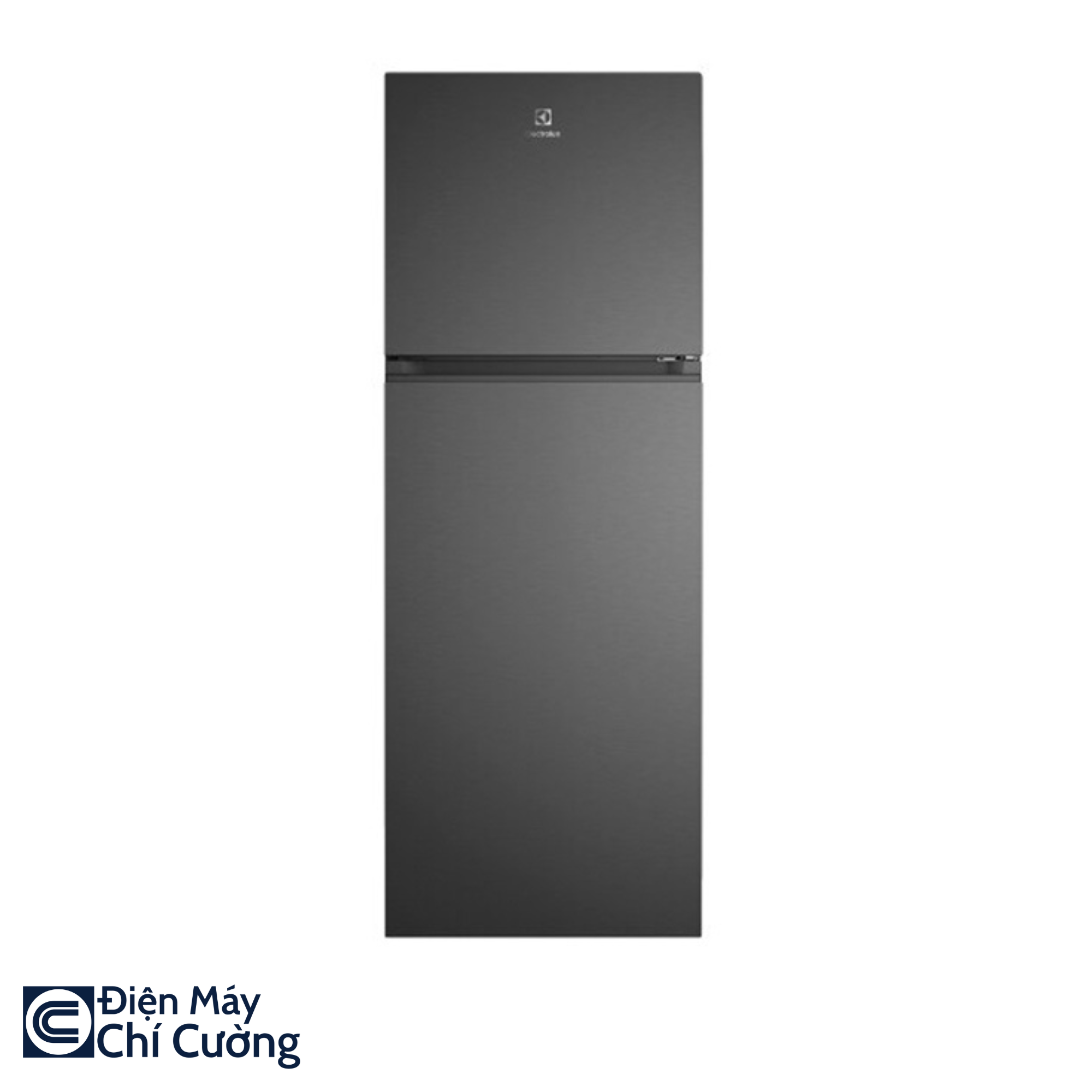 Tủ Lạnh Electrolux ETM3100L-B