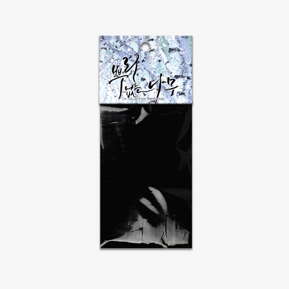 [ORDER] A Tree Without Roots Collection Photo cards