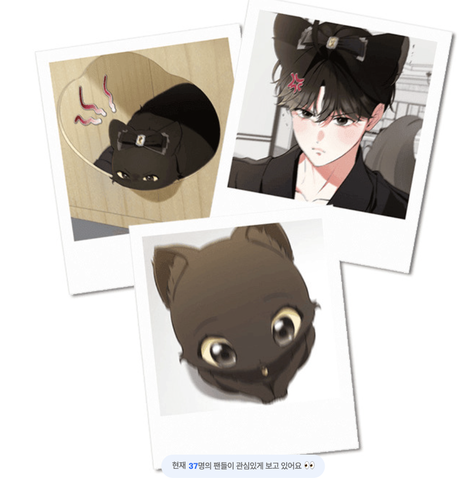 [ORDER] 고양이 테라피 CAT THERAPY Pola random