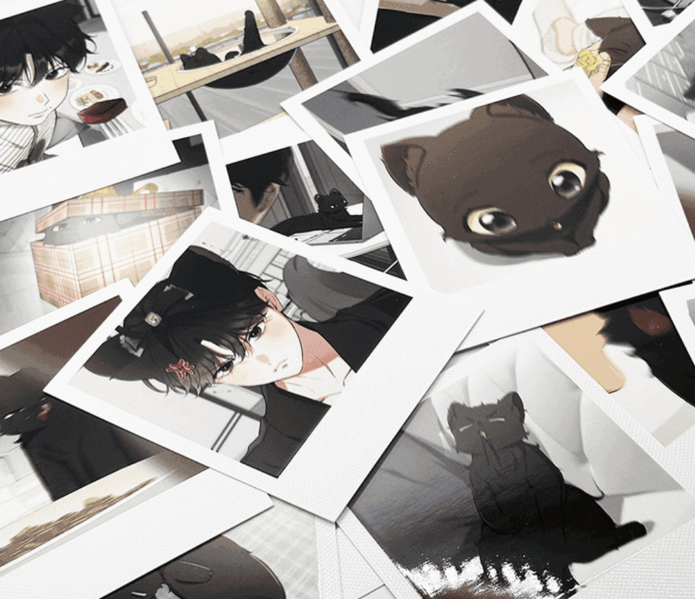 [ORDER] 고양이 테라피 CAT THERAPY Pola random