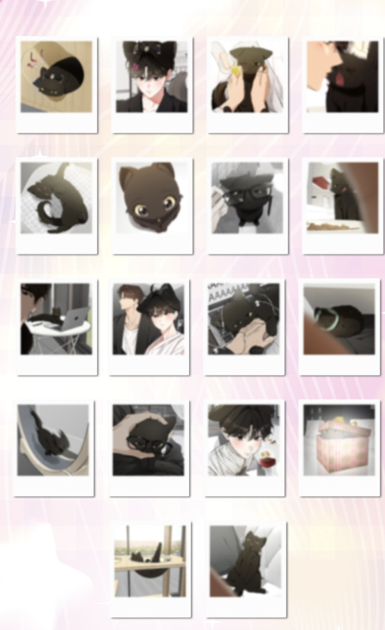 [ORDER] 고양이 테라피 CAT THERAPY Pola random