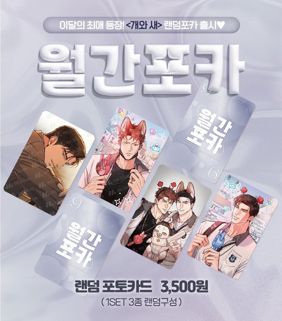 [PREORDER] [Tháng 11 trả hàng] Dog Bird Pack random 3 card