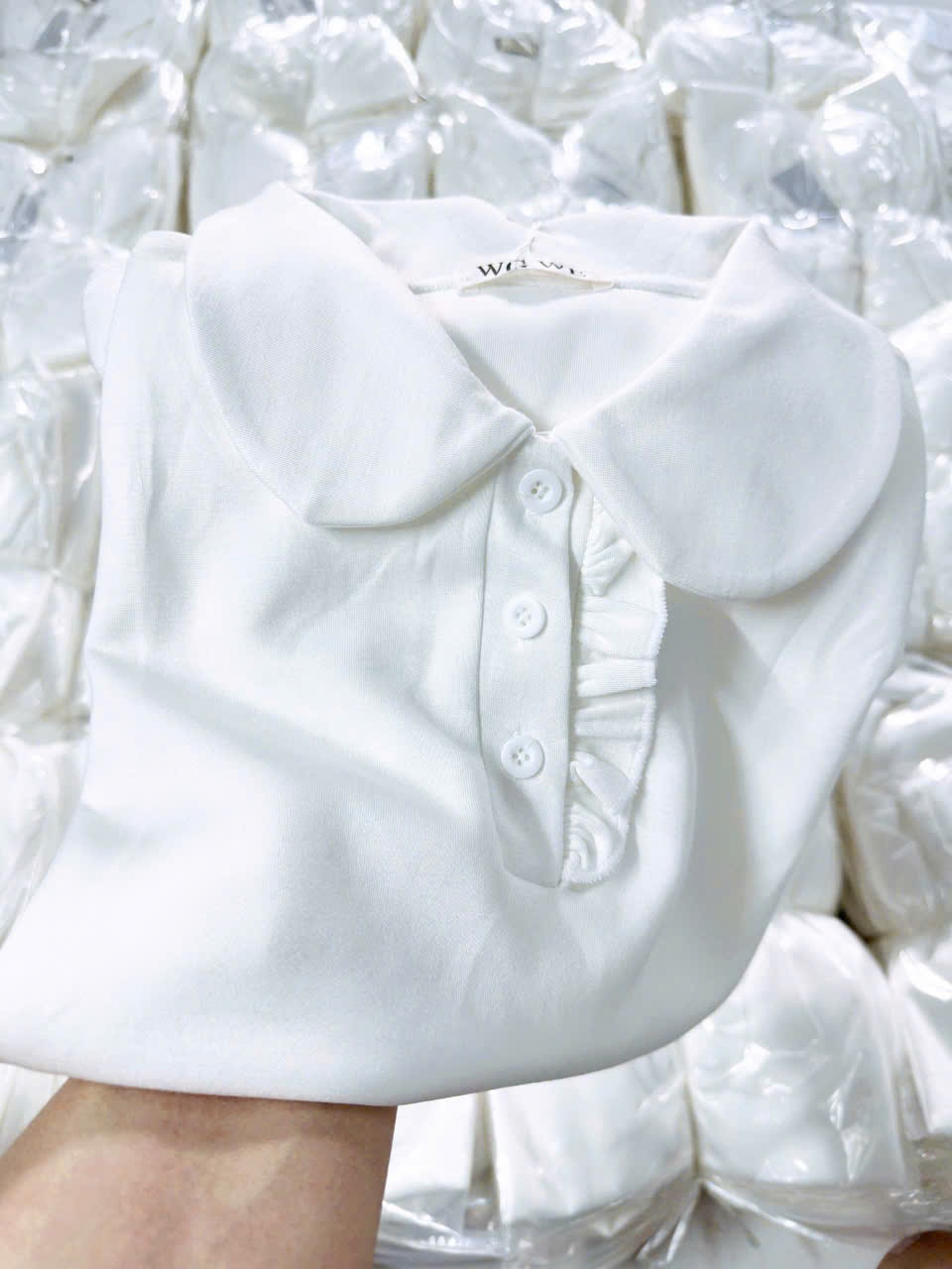 MĐ# ÁO POLO VIỀN BÈO