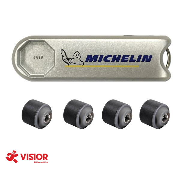 Máy cảm biến đo áp suất cho ô tô Michelin 4810 vì sao lại là công cụ không thể nào thiếu của các tài xế