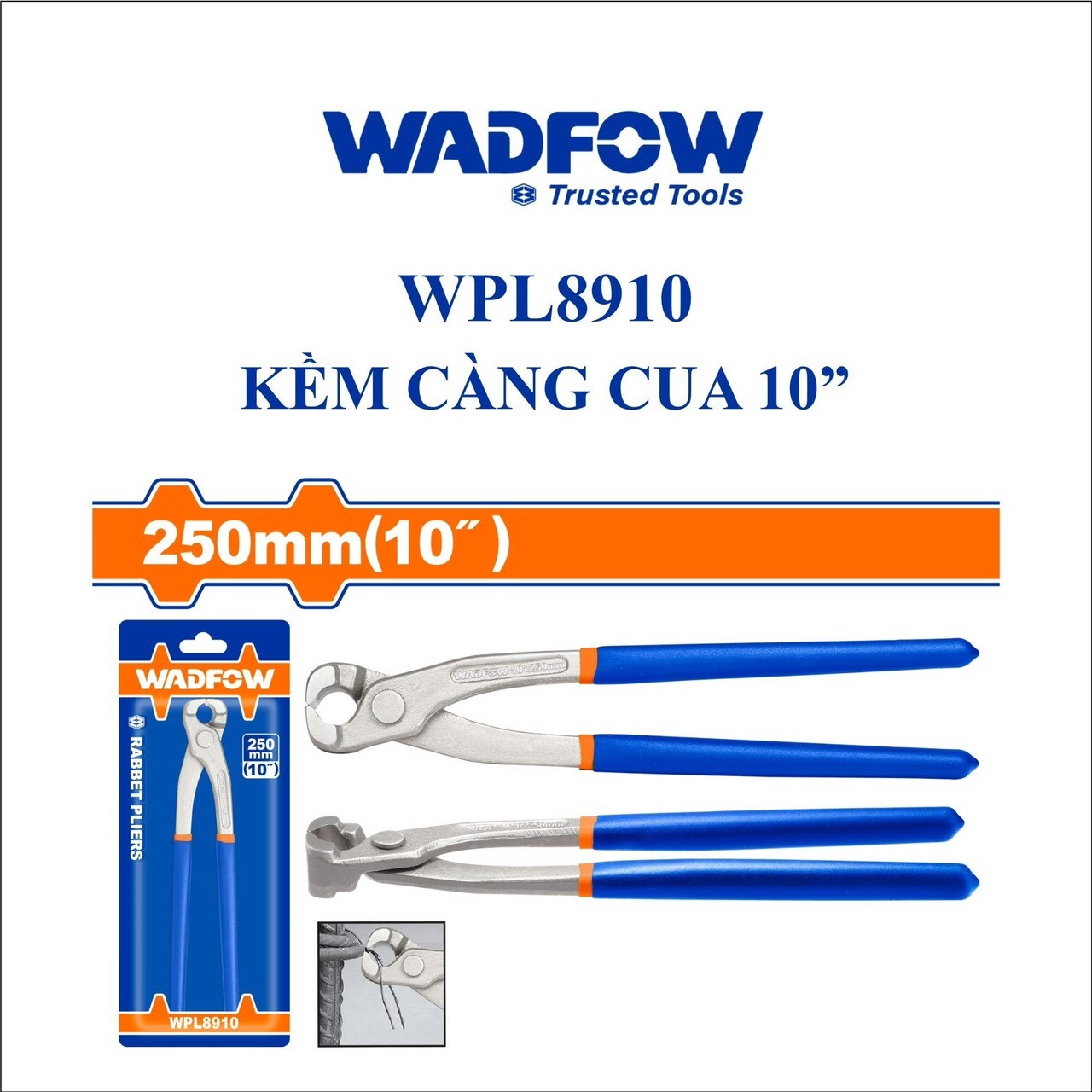 KỀM CÀNG CUA 10