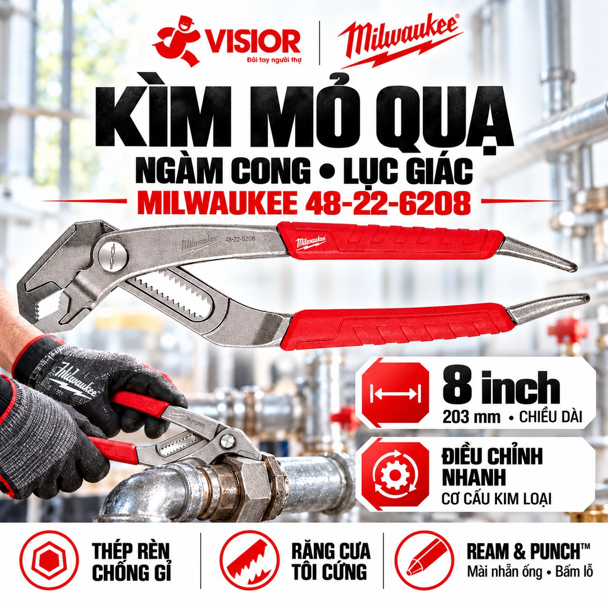 KỀM MỎ QUẠ 8