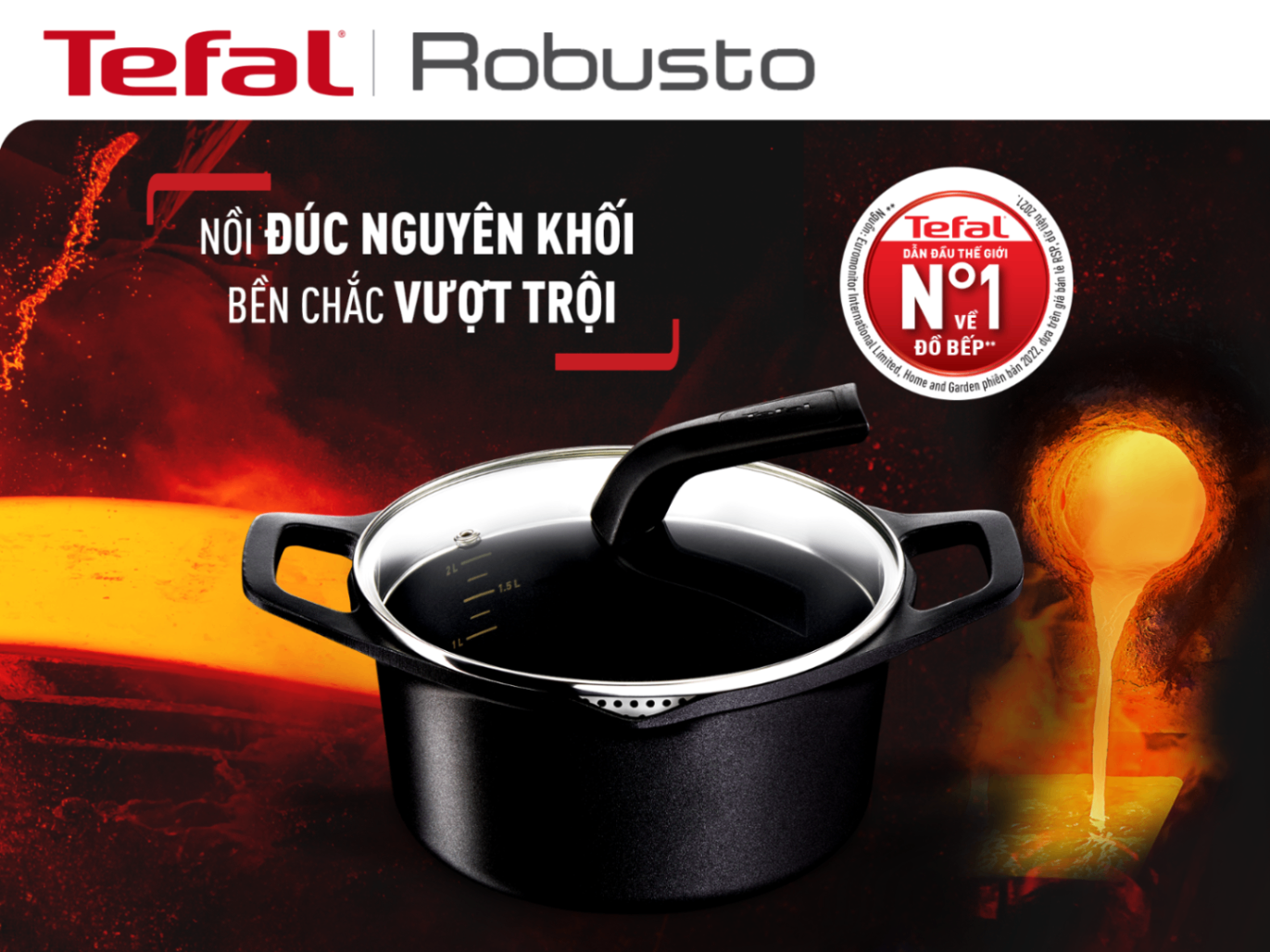 Nồi đúc cao cấp Tefal Robusto có miệng rót 24cm E2494644