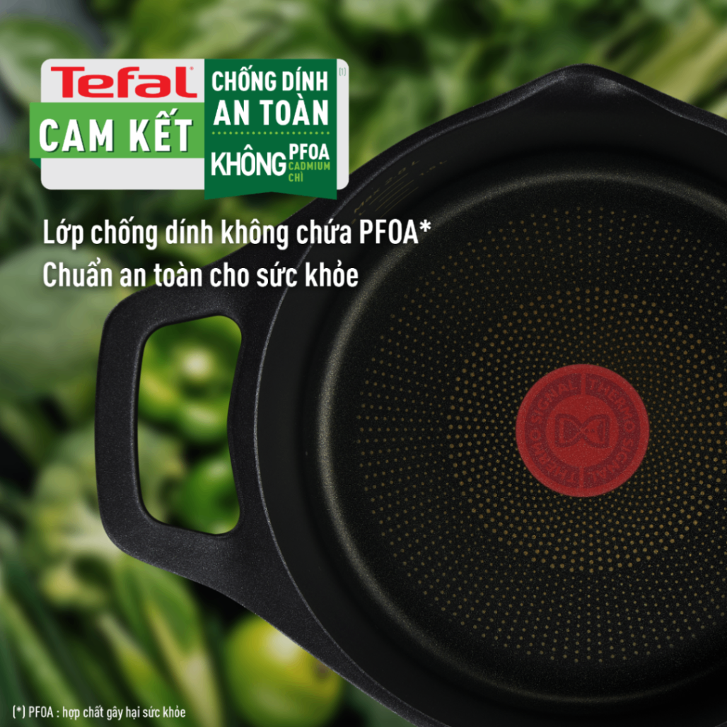 Nồi đúc cao cấp Tefal Robusto có miệng rót 20cm E2494444