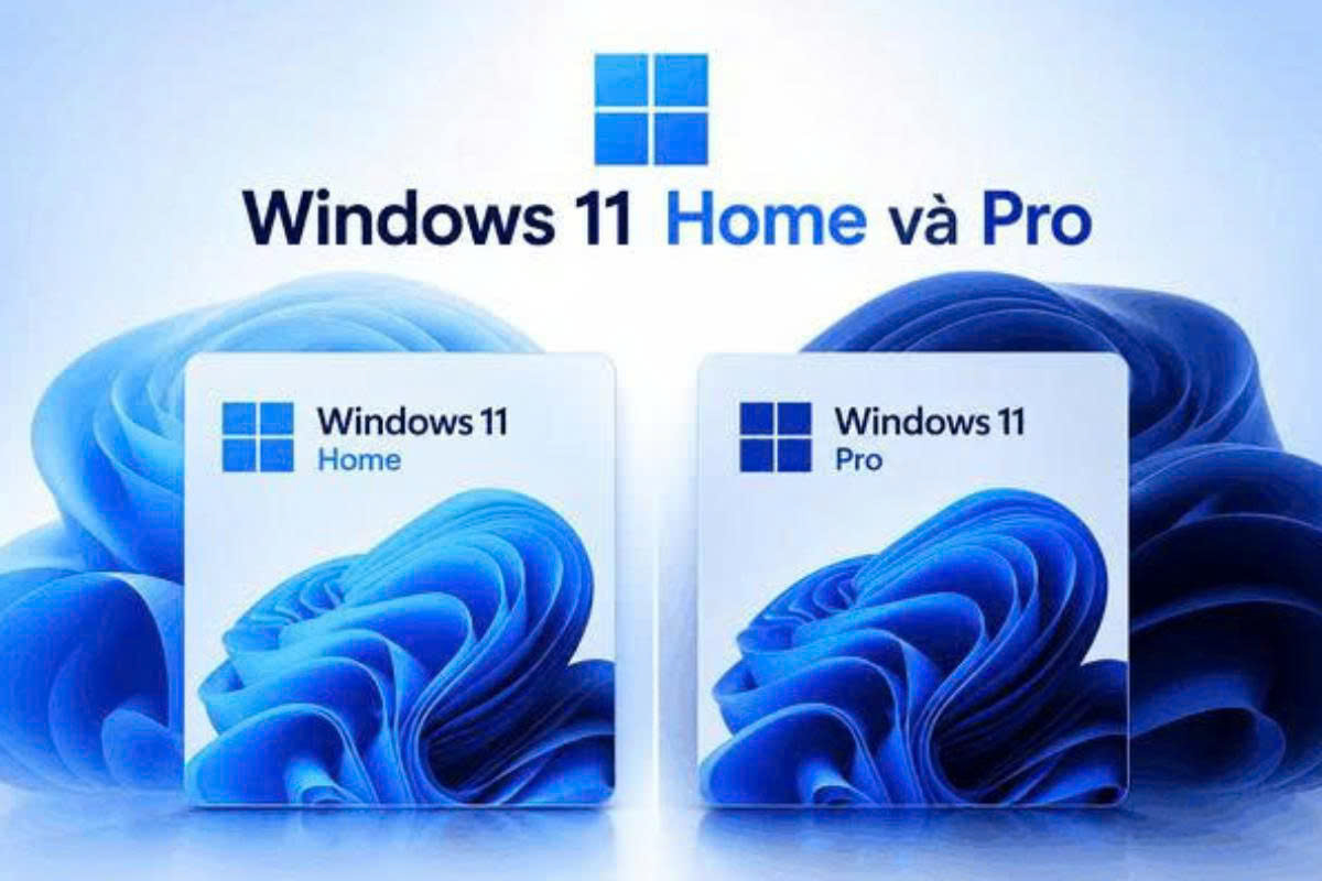 Windows 11 Home vs Pro: Doanh nghiệp nên chọn bản nào?
