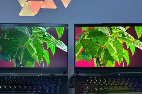 Man-hinh-laptop-60Hz-120Hz-144Hz-khac-nhau-the-nao-6.jpg