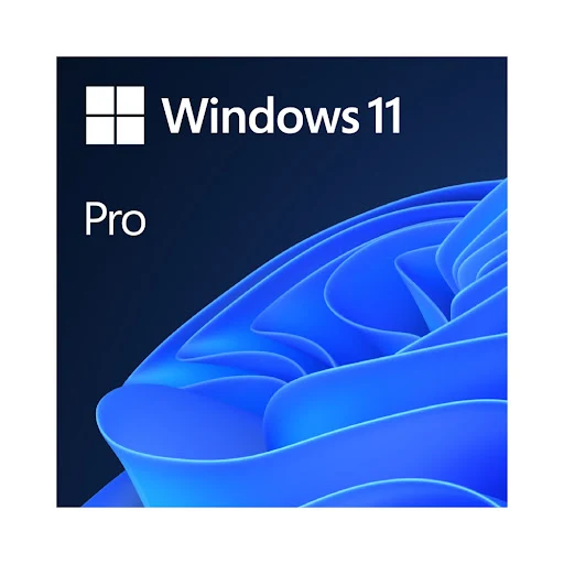 Phần mềm Windows Pro FPP 11 64-bit All Lng PK Lic Online DwnLd NR