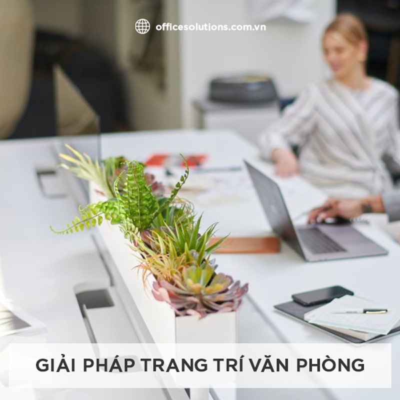 Giải pháp trang trí văn phòng trọn gói